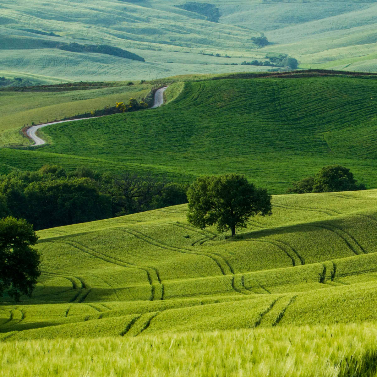 Покупка земли в Испании