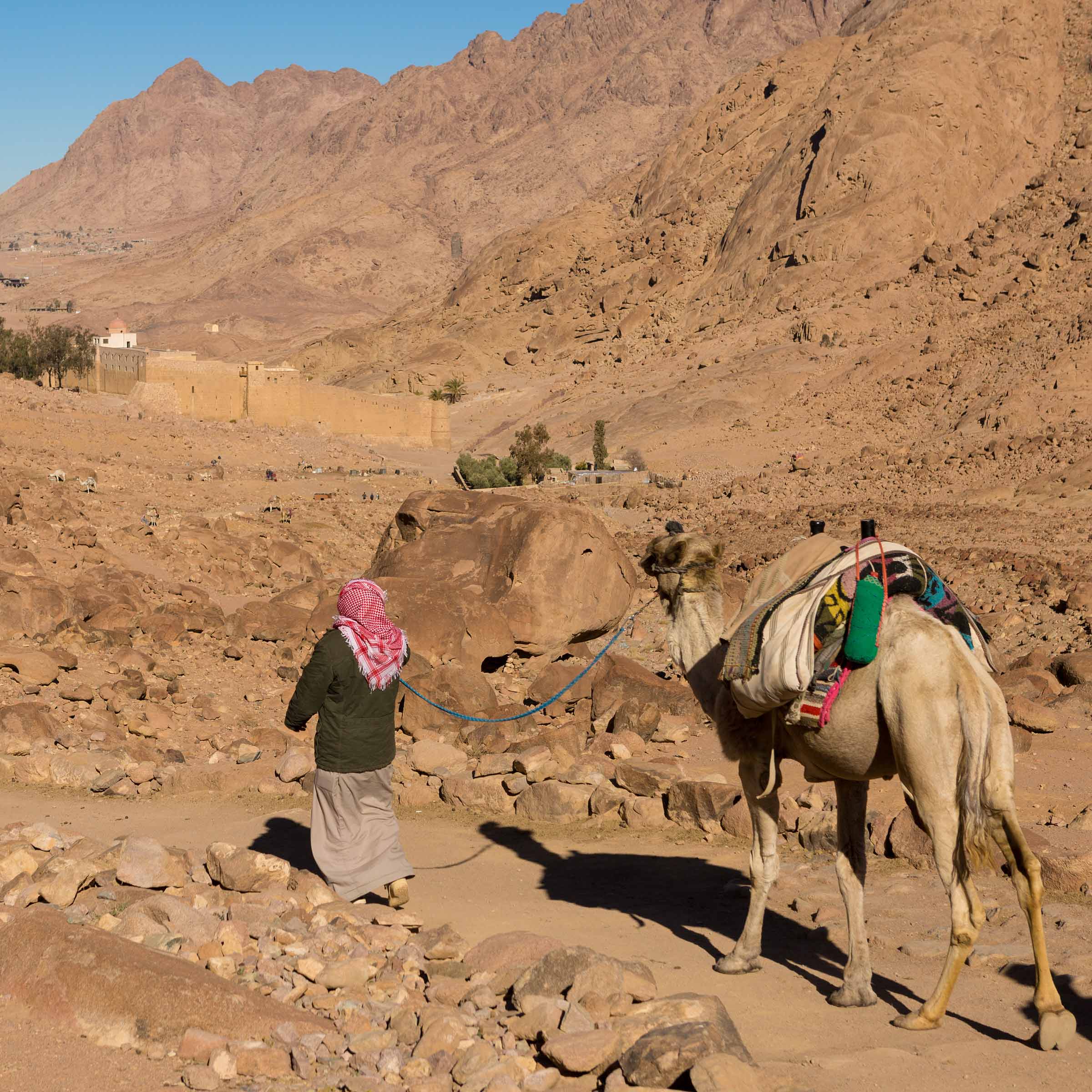 Фактор Западной Сахары