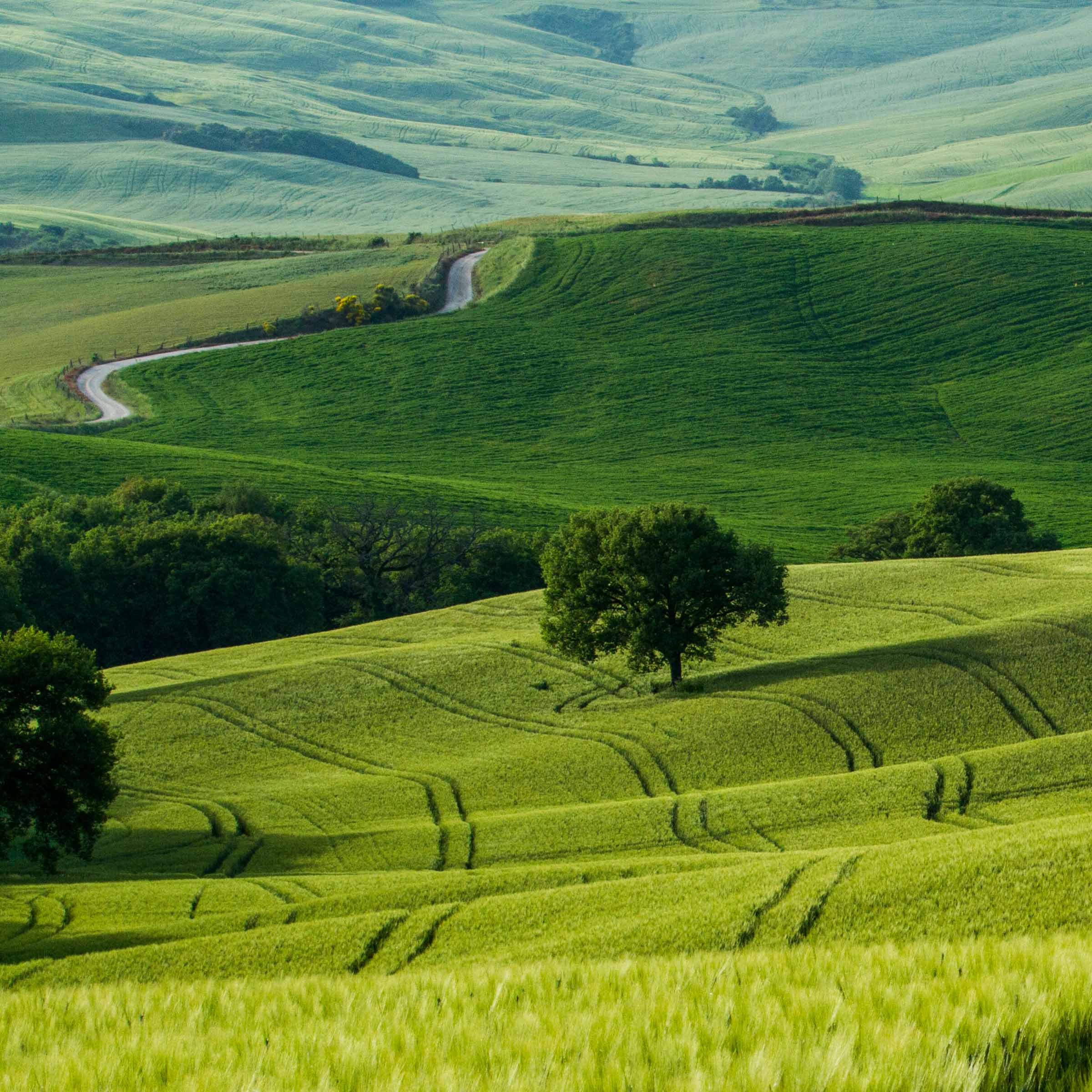 Покупка земли в Испании