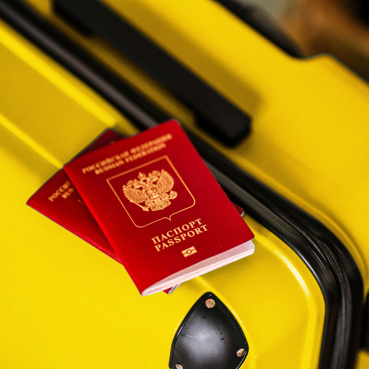 До свидания, европейская виза — здравствуй ВНЖ!